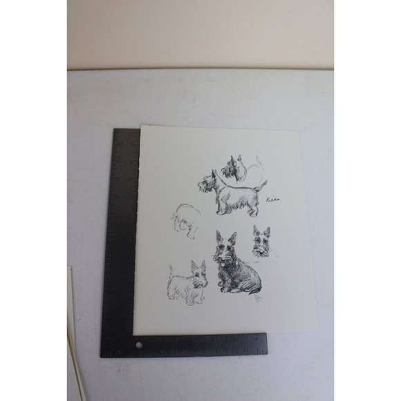 Lucy Dawson Dog Print Scottish Terrier Scotty Scottie 90680 - Picture 3 of 5